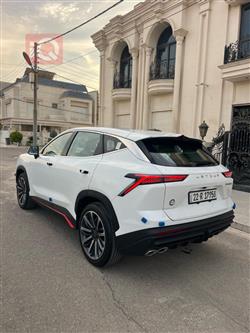 جيتور داشينج